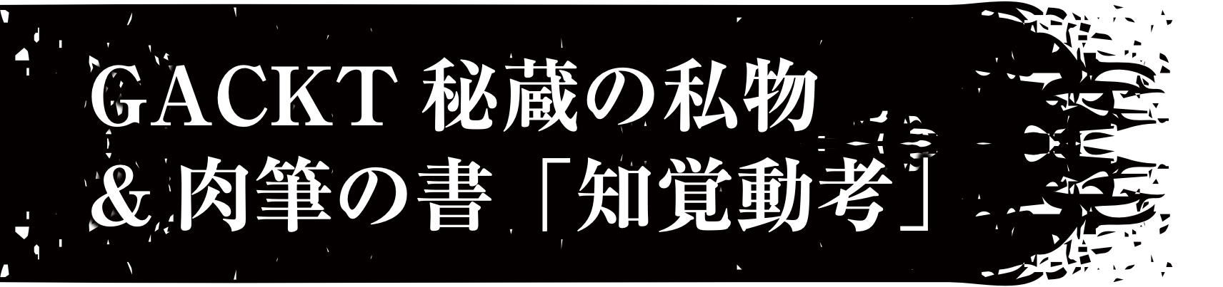 GACKT 秘蔵の私物 & 肉筆の書「知覚動考」